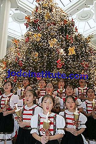 Flickor som håller ljus och sjunger framför en julgran i Seoul.