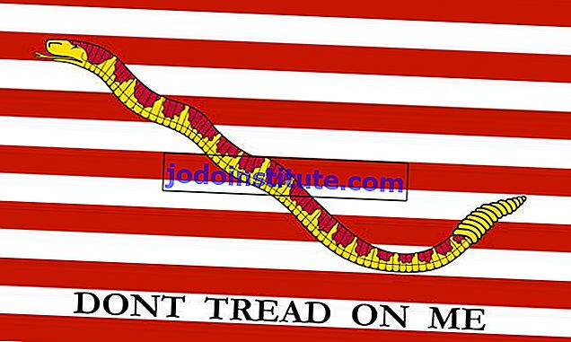 1st Navy Jack, 1776 (Rattlesnake and 13 stripes). 