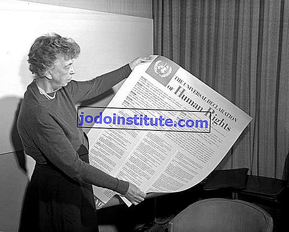 Eleanor Roosevelt memegang poster Deklarasi Hak Asasi Manusia Sejagat.