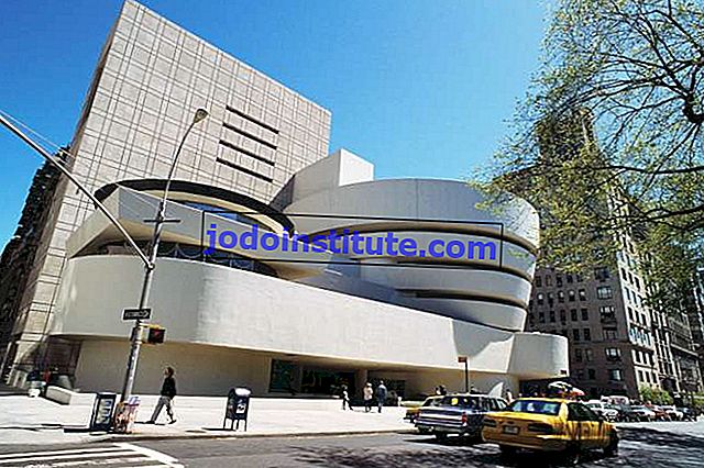Guggenheim müzesi