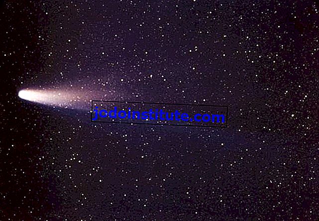 sao chổi của Halley