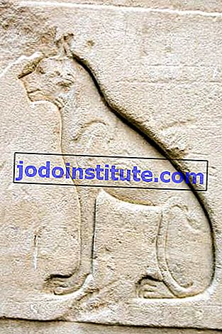 Bức phù điêu Ai Cập cổ đại chạm khắc một con mèo, đại diện cho nữ thần Bastet.