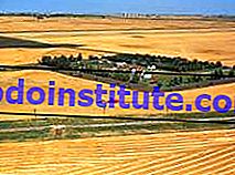 Memanen gandum di pertanian di sabuk gandum dekat Saskatoon, Saskatchewan, Kanada. Tambang kalium muncul di latar belakang yang jauh.