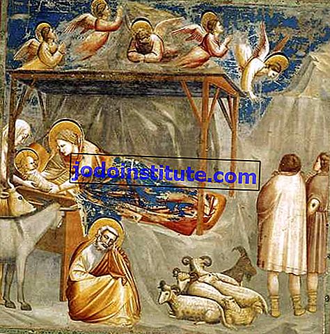 Giotto: Födelsen