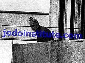 Палестински терорист на балкон по време на Олимпийските игри в Мюнхен 1972 г.