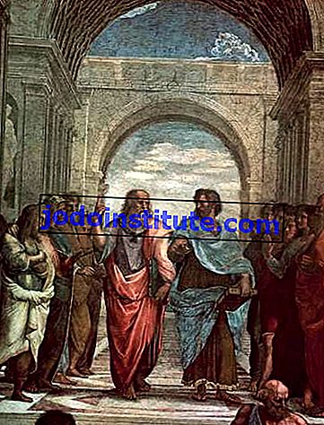 Raphael: perincian dari School of Athens