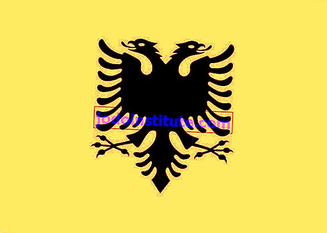 Flaggan av Albanien