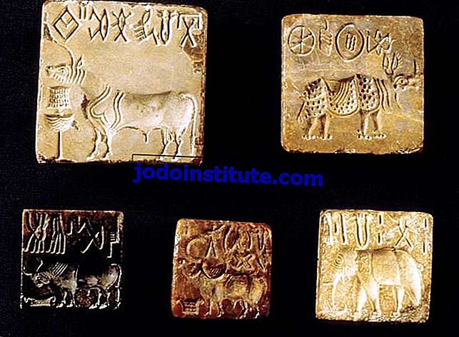Peradaban Indus: segel