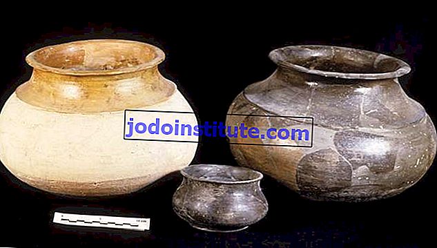 Peradaban Indus: panci masak