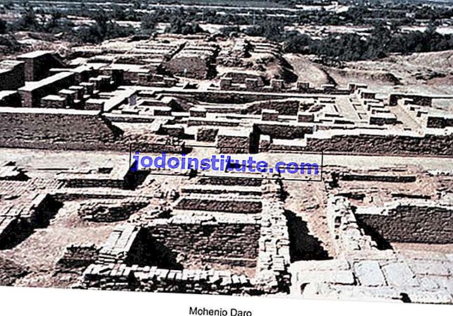 Mohenjo-daro kalıntıları