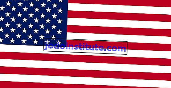Amerikas förenta staters flagga