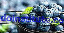 Blueberry (Vaccinium) dalam mangkuk. Buah beri
