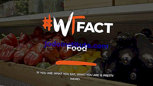 #WTFact: Thực phẩm