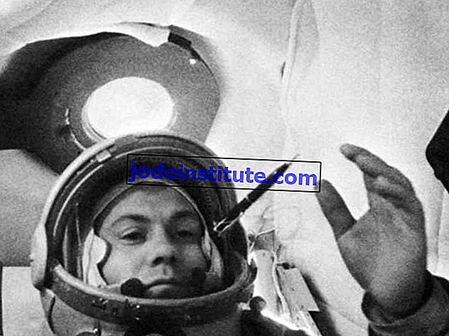 Pavel Popovich på Vostok 4