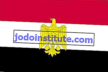 アラブ解放旗は、1952年（エジプトの君主制が打倒された年）から1958年までエジプトで飛行しました。緑と白の国旗と一緒に頻繁に掲揚されましたが、アラブ解放旗は同じ公式の地位を持っていませんでした。 しかし、そのデザインは1958年と1972年に採用された国旗に影響を与えました。