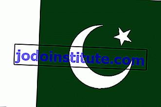 Pakistan flagga