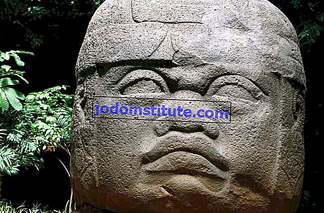 Đầu khổng lồ Olmec