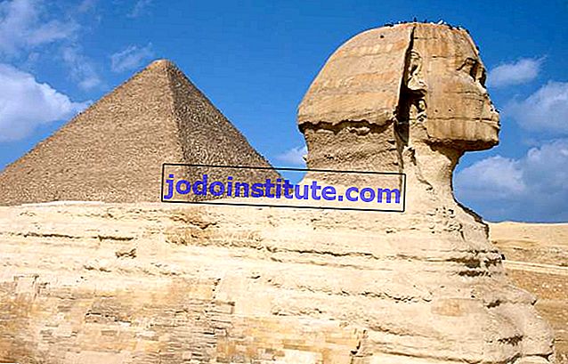 Sfenks Giza, Mısır, arka planda yükselen Khufu (Cheops) büyük piramit ile yan görünüm.