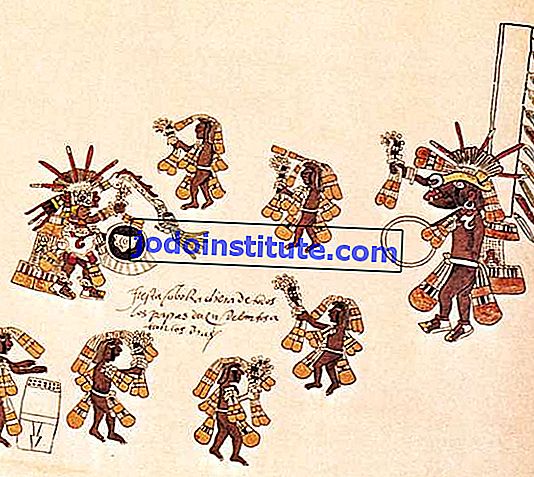 Aztek yuvarlak dansı