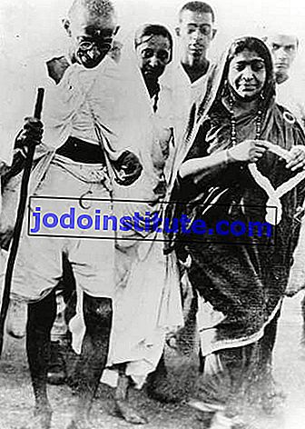 Mahatma K. Gandhi; Sarojini Naidu