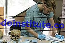 法医学人類学：頭蓋骨の検査